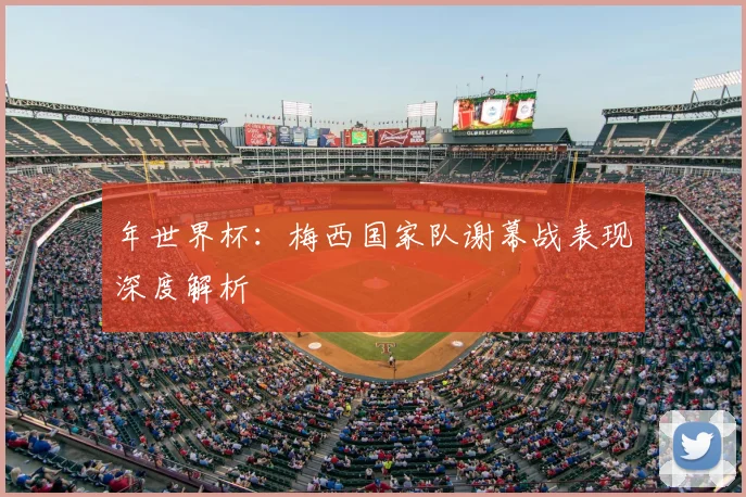 年世界杯：梅西国家队谢幕战表现深度解析